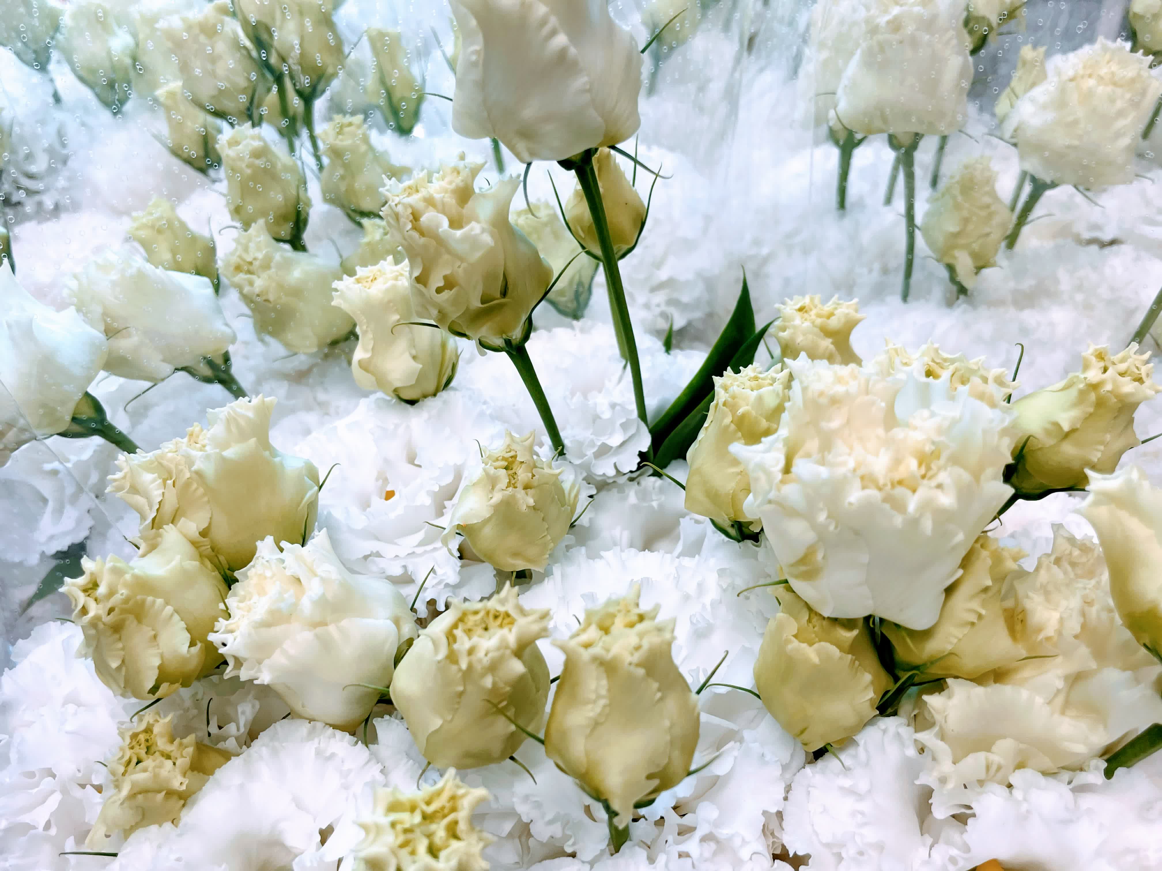 Atelier - Products & Works